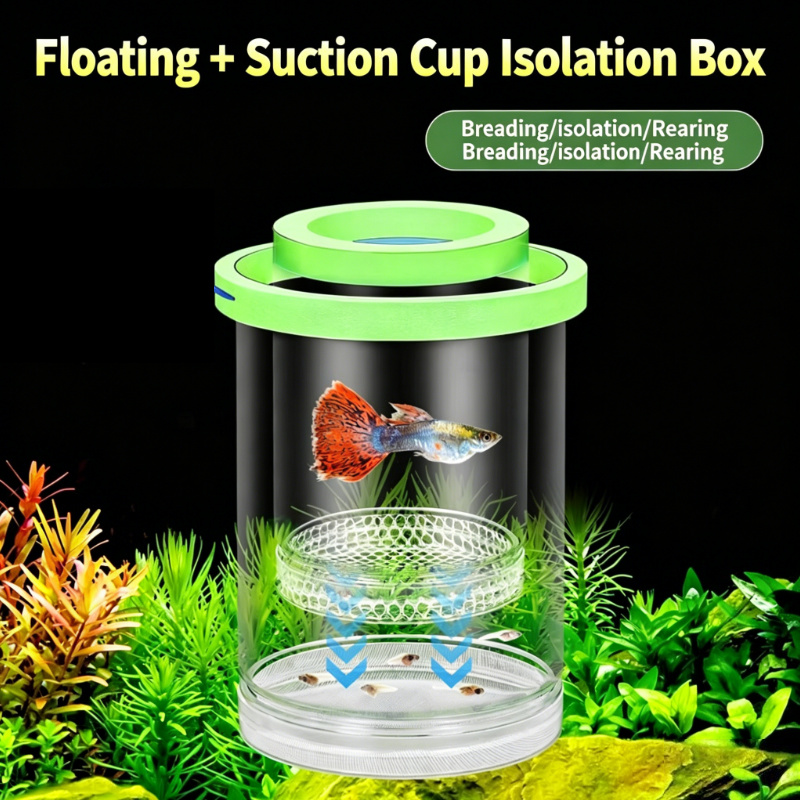 กล่องเพาะพันธุ์ปลาแบบโปร่งใสลอ - Aquarium Fish Medicine บทวิจารณ์และราคา