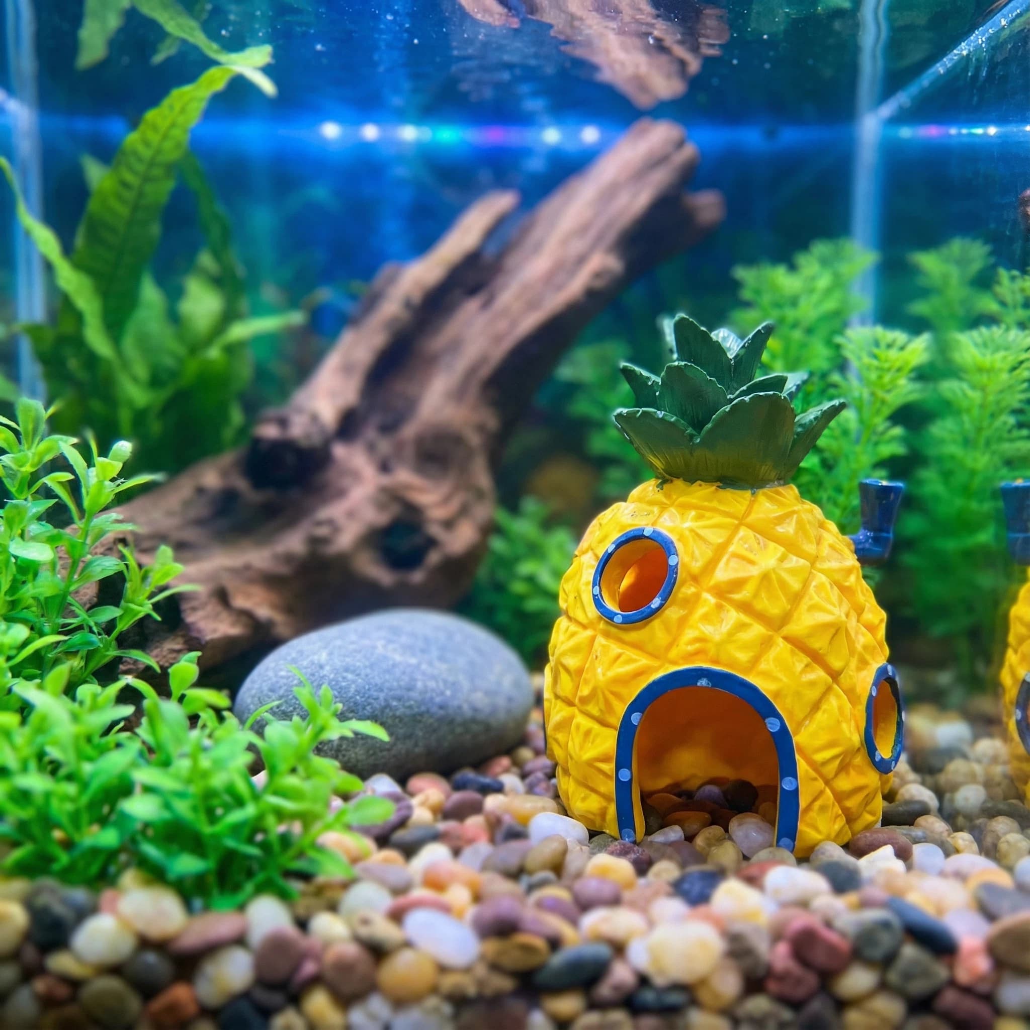 ของตกแต่งตู้ปลาทรงบ้านสับปะรด， - Aquarium Fish Hiding Places บทวิจารณ์และราคา