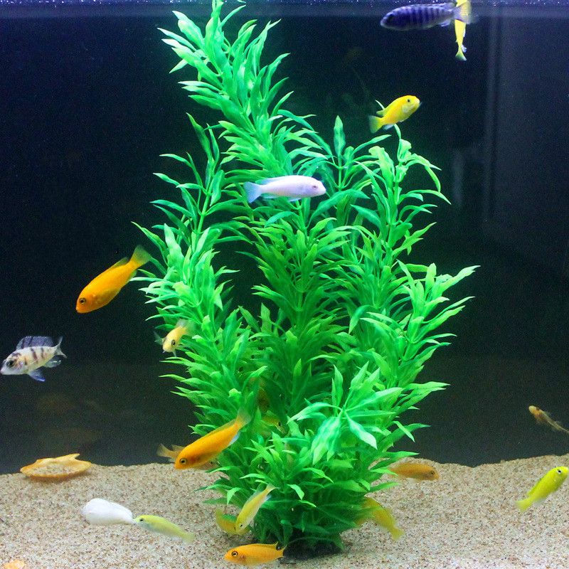 50 ซม.ถังปลาประดิษฐ์พืชหายากAq - Aquarium Fish Buy บทวิจารณ์และราคา