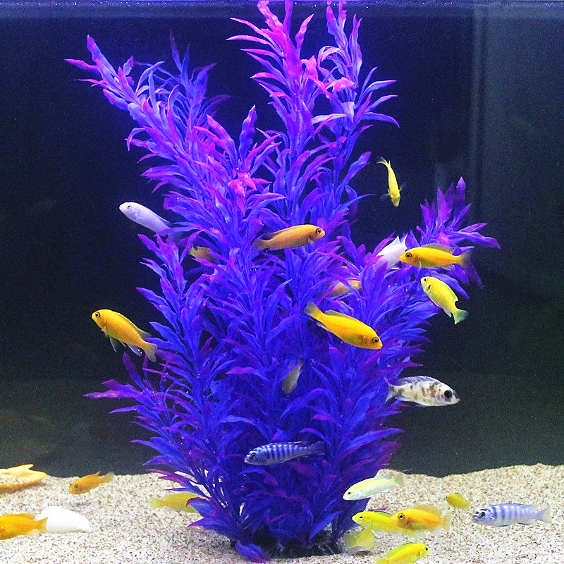 50 ซม.ถังปลาประดิษฐ์พืชหายากAq - Aquarium Fish Buy บทวิจารณ์และราคา