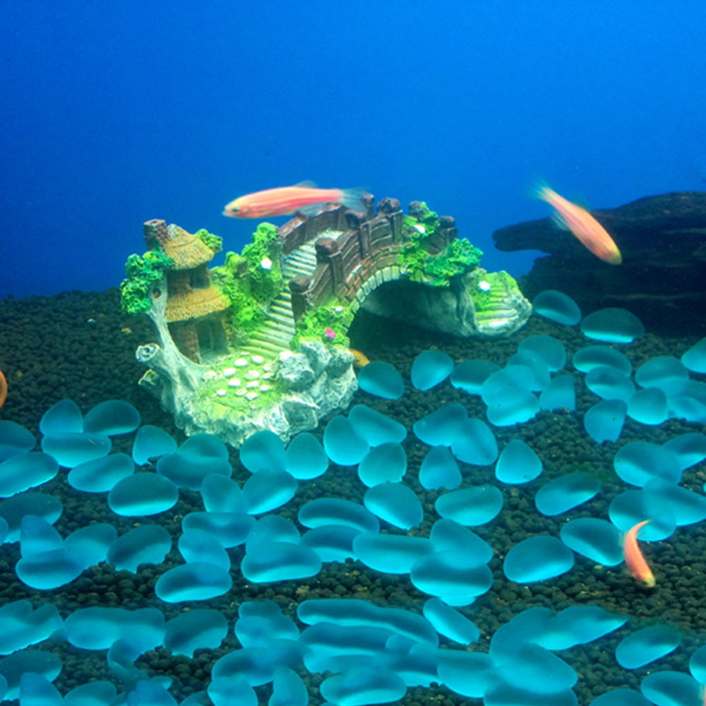 อุปกรณ์ตู้ปลา Arbor ต้นไม้ปลอม - Aquarium Fish Bridge บทวิจารณ์และราคา