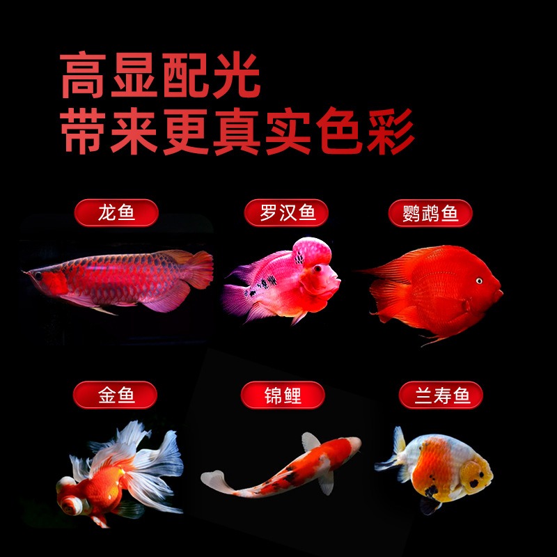 ไฟ LED สำหรับตู้ปลาแบบสามสีกัน - Aquarium Fish Parrot บทวิจารณ์และราคา