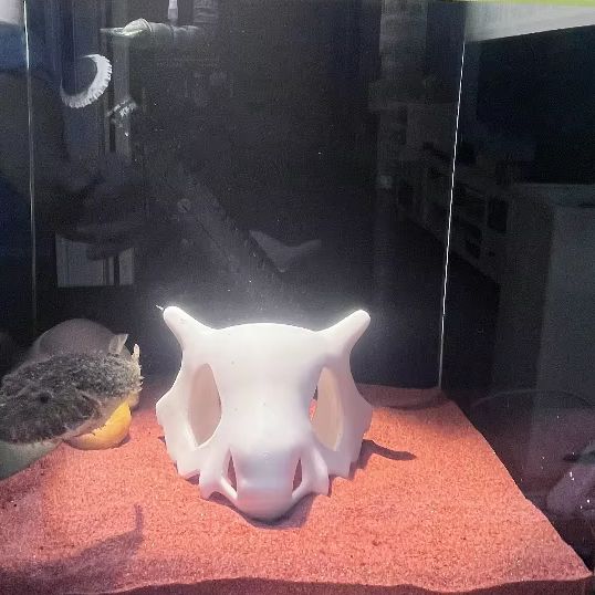 ที่ซ่อนตัวรูปทรงปลา กุ้ง หรือส - Aquarium Fish Hiding Places บทวิจารณ์และราคา
