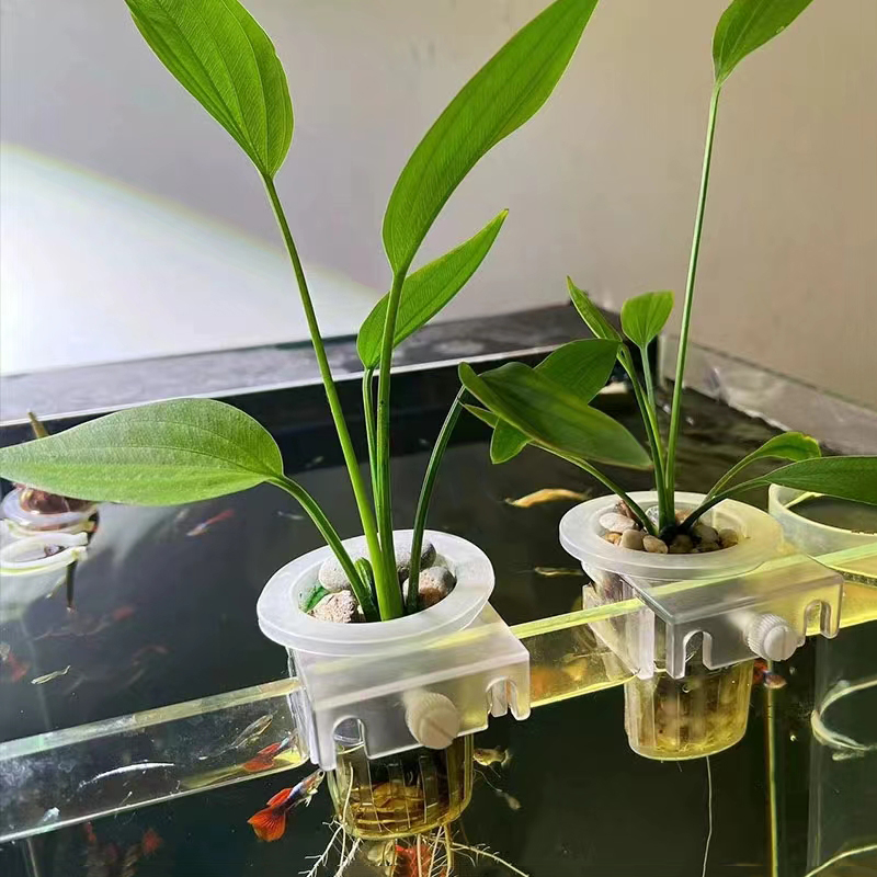 ตะกร้าปลูกตู้ปลาแบบไฮโดรโปนิกส - Aquarium Fish Pot บทวิจารณ์และราคา